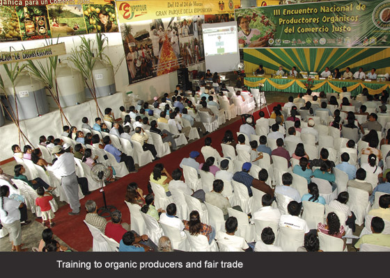 Chanchamayo Highland Coffee  SOCIAL DEVELOPMENT 3