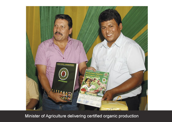 Chanchamayo Highland Coffee  SOCIAL DEVELOPMENT 8